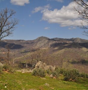 Bastián y el Rebollo de la Dehesa