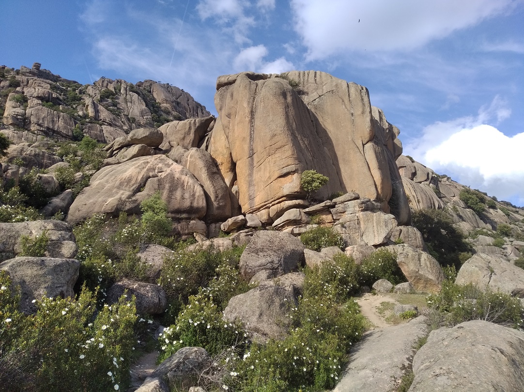 Caminantes en el sol