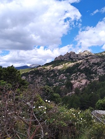 GRBerruecoRef_6_mini