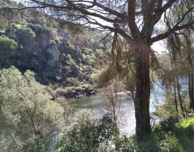 Vía Verde del Alberche