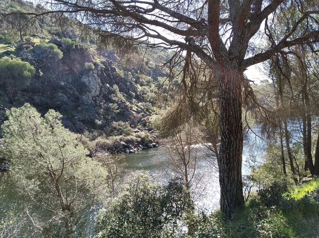 Caminantes en el sol