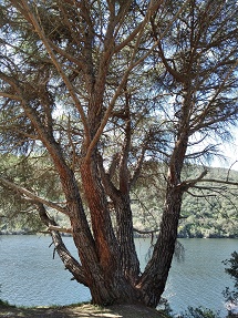 VVAlberche_5_miniatura