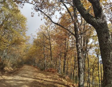 A caminar: Próximas Caminatas