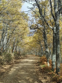 Rascafria_miniatura_4