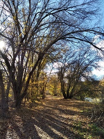 Campillo_miniatura_5