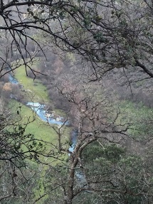 Meandros_miniatura_2