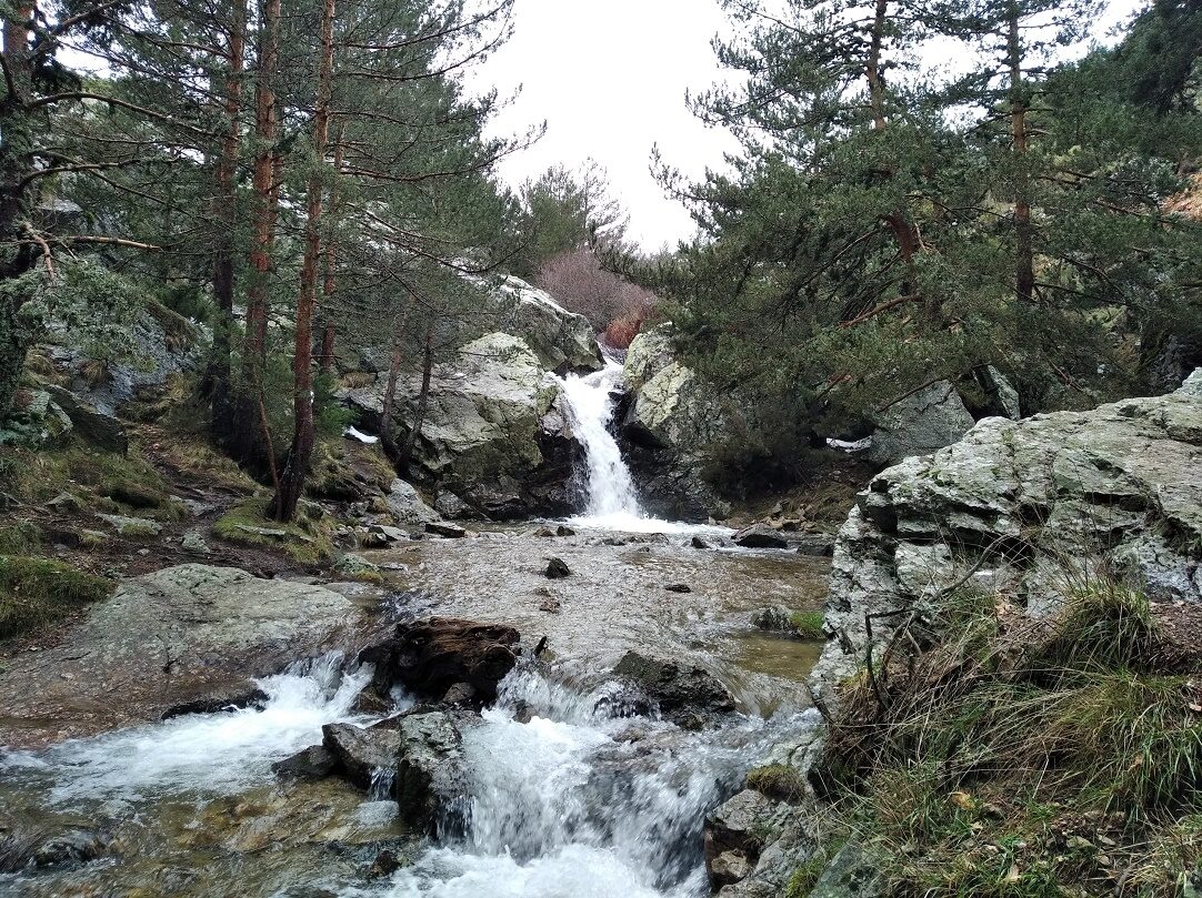 Caminantes en el sol