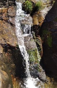 Chorranca_4_mini