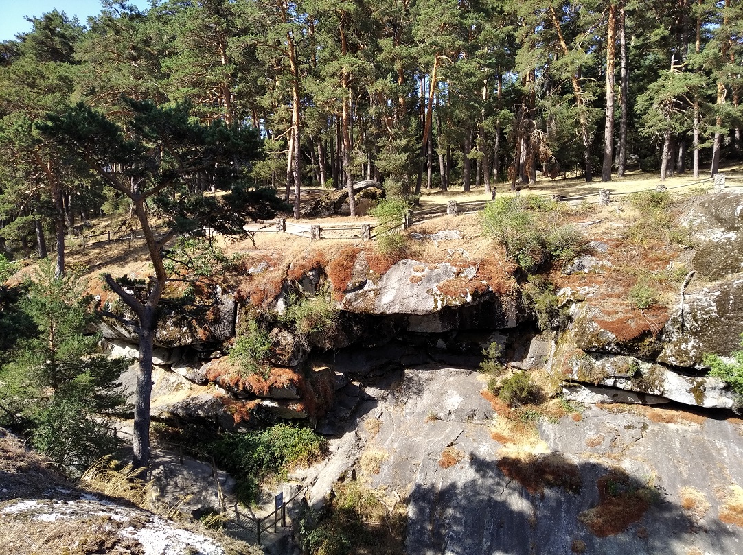 Caminantes en el sol
