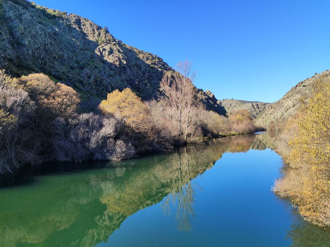 Caminantes en el sol