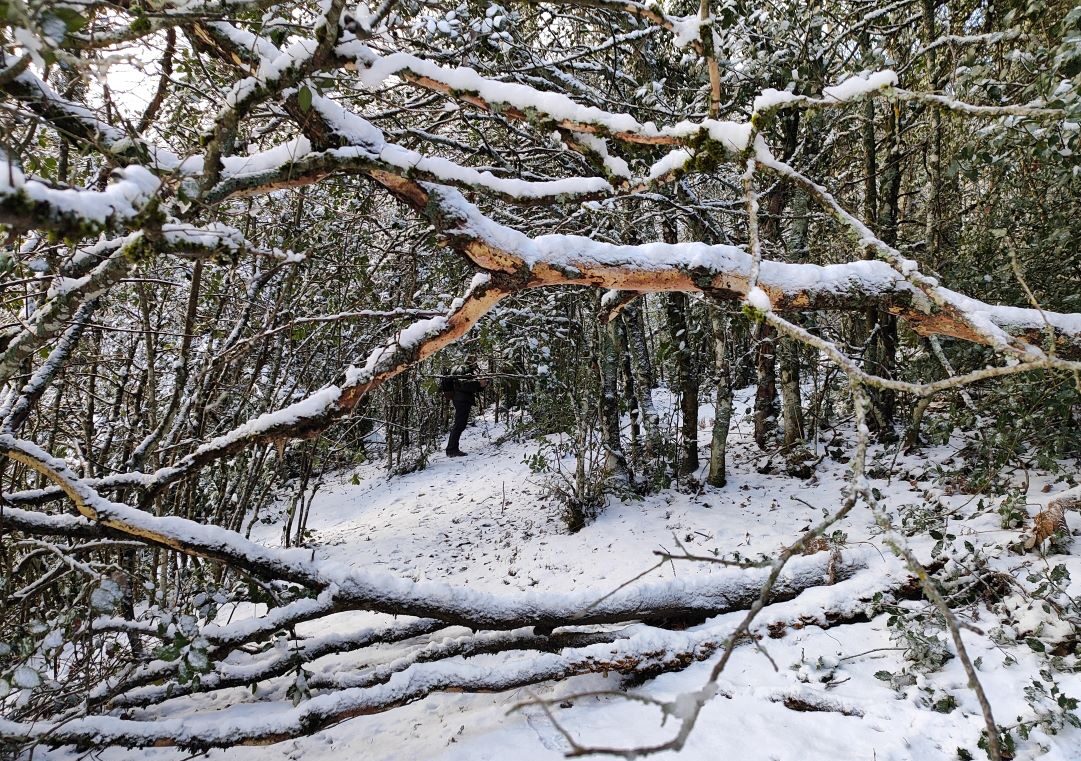 Caminantes en el sol