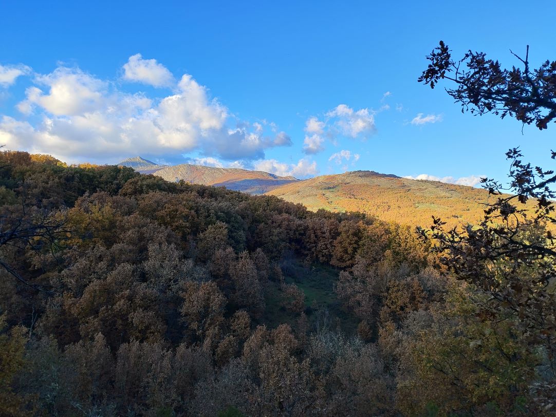 Caminantes en el sol