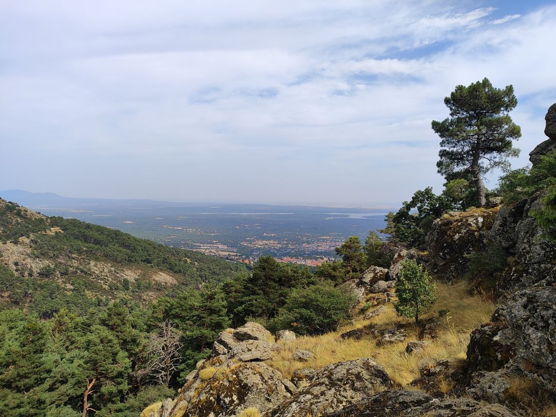 Caminantes en el sol