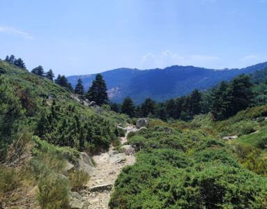 Circular por la Barranca