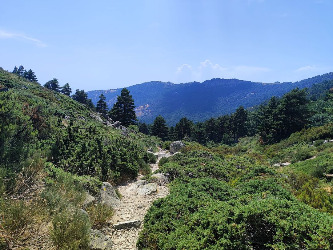 Caminantes en el sol