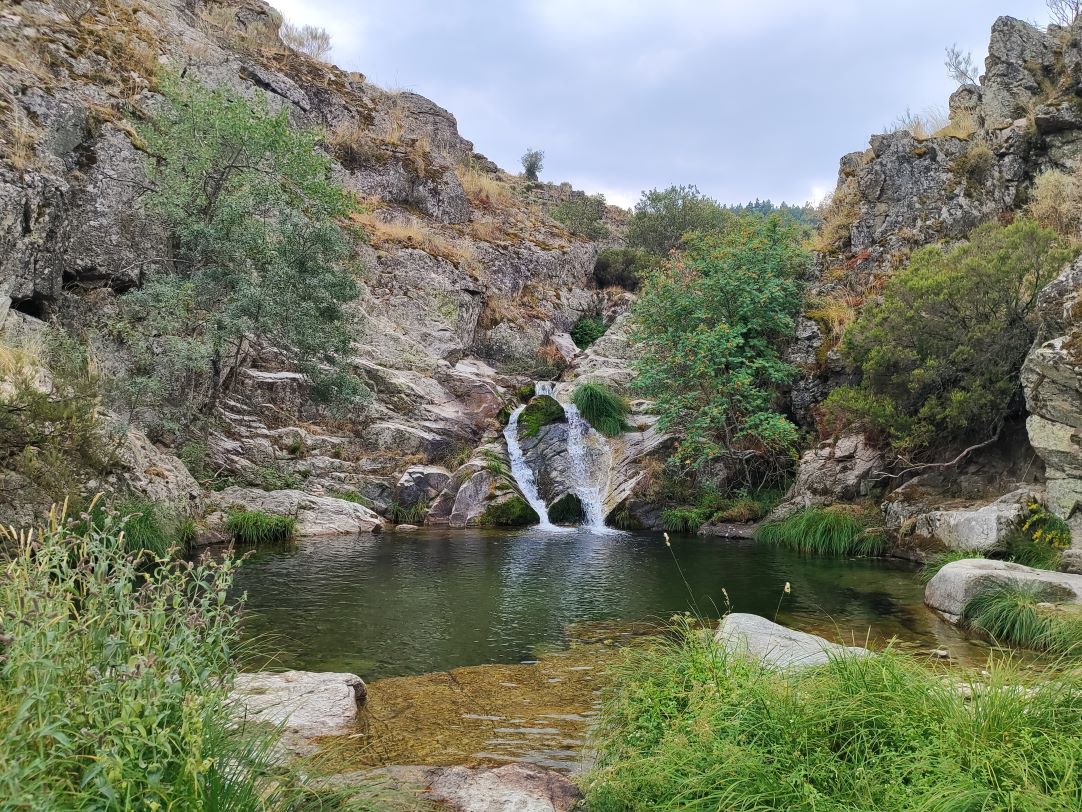 Caminantes en el sol