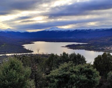 Sabinar de los Canalizos