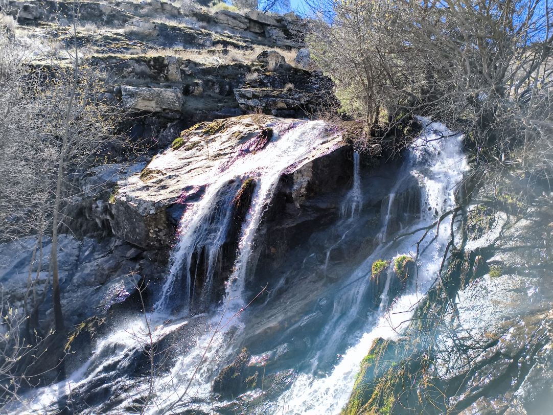 Caminantes en el sol