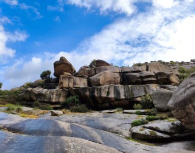 En busca de los alcornoques centenarios de La Pedriza